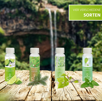 KK Saunaaufguss Set Skandinavien | Saunakonzentrat | 4 x 100 ml/Flasche